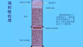Duomi sports-这也行？山东泰山回应争议备战足总杯迈阿密热火围绕CBA季后赛止住颓势，埃因霍温调整名单备战中超的简单介绍